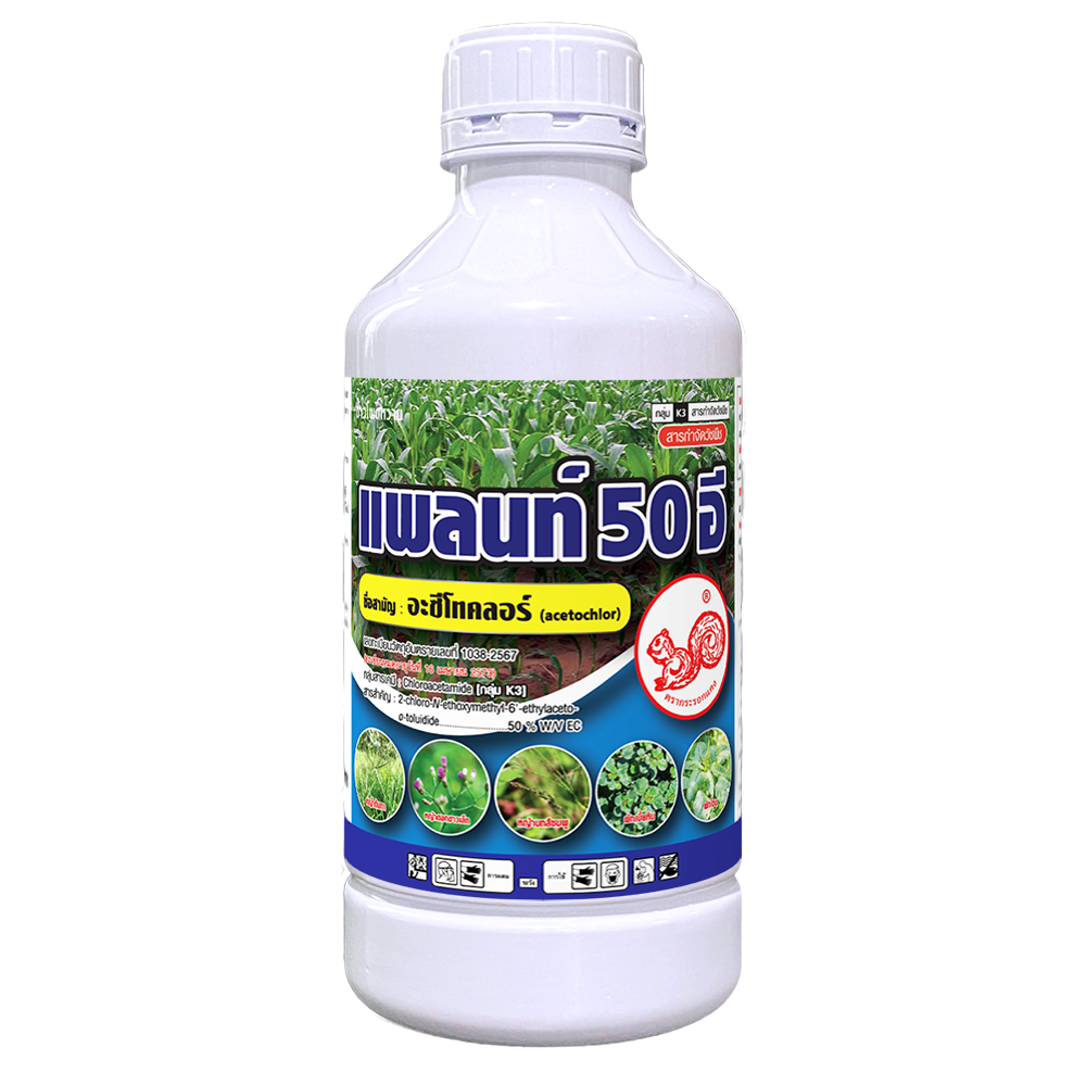 แพลนท์ 50 อี