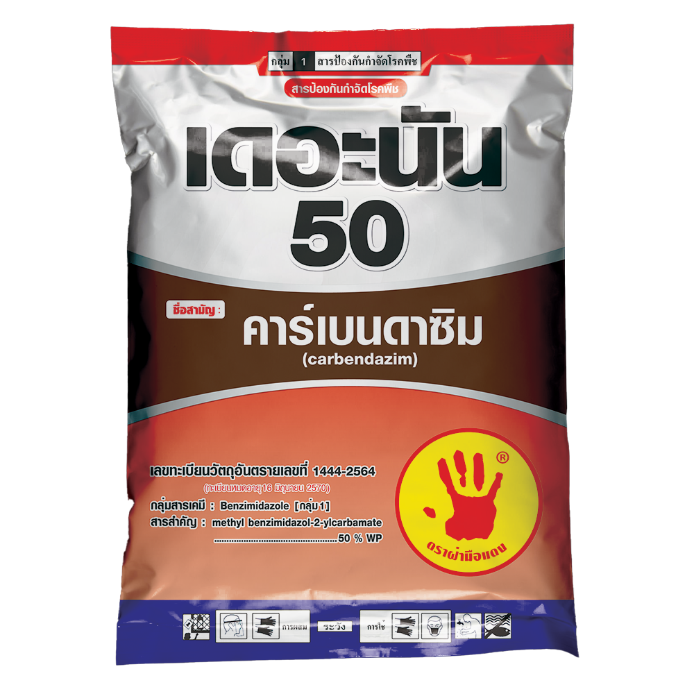 เดอะนัน 50