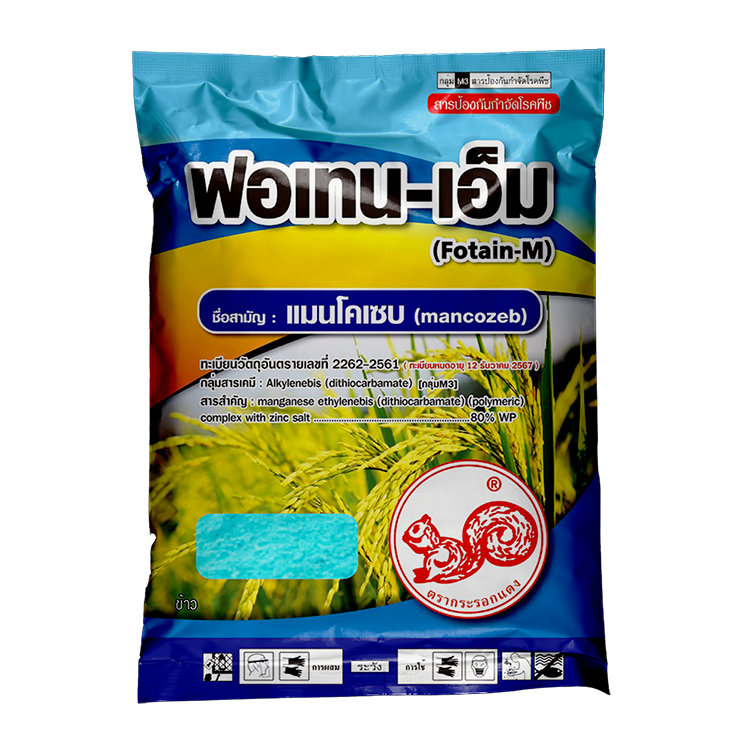 ฟอเทน-เอ็ม