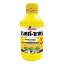 แมสค์-ทาลิน