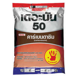 เดอะนัน 50