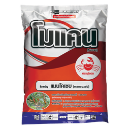 โมแคน