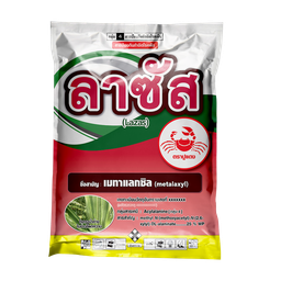 ลาซัส